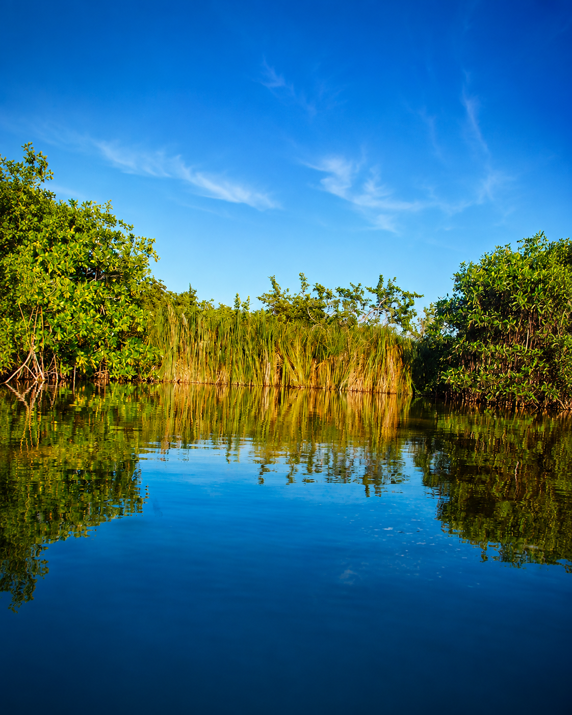 Laguna de Bávaro